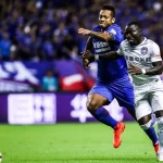 申花将提前跟米内罗锋线新搭档签约，第三轮中超亮相-足球今天-足球赛事-足球赛程网